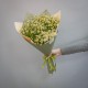 Букет 19 ромашек кустовых купить с доставкой в Санкт-Петербурге